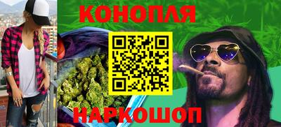 гашик Дубна