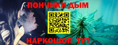 гашик Дубна