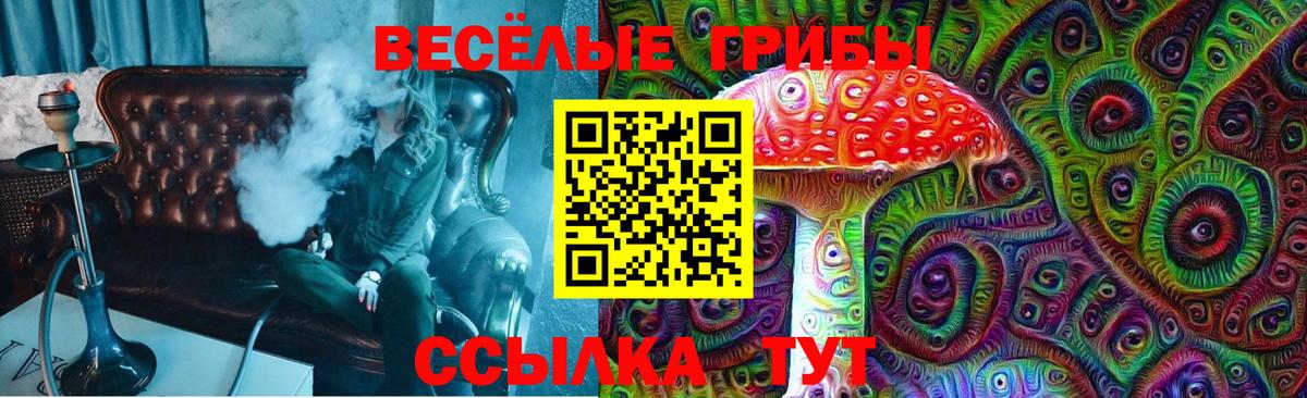 Псилоцибиновые грибы прущие грибы  Вход с VPN  Галлюциногенные грибы прущие грибы  Нижний Новгород 